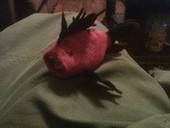 Fish To Sushi Plushie