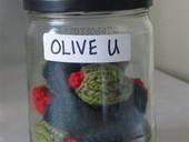 Knitted Olive