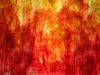 Small_full_close_up_vlies_af_borduurw_1295008797