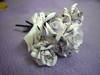 Small_full_p1060064_1295026870