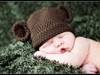 Small_full_thad_sbearhat_1295035184