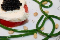 Molecular Salad