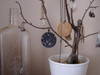 Small_full_dscf2276