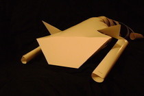 Posterboard Cat