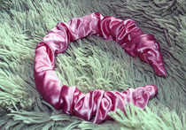 Satin Headband