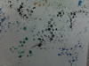 Small_full_bubble1_1295849378