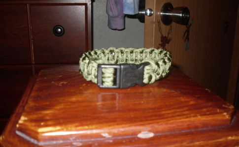 Paracord Dog Collar