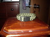 Paracord Dog Collar