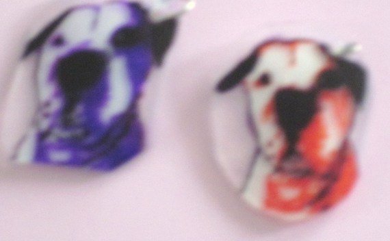 Shrunken Plastic Jewelry