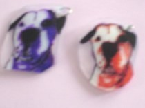 Shrunken Plastic Jewelry