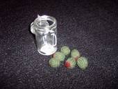 Knitted Olive