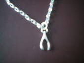 Wishbone Necklace
