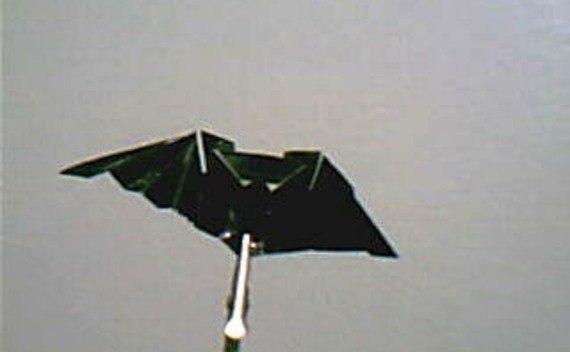 Origami Bat