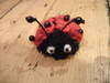 Small_full_dscf7216_1296687096