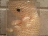 Fetus In A Jar 1