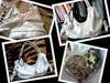 Small_full_my_pictures_1296832736