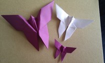 Origami Butterfly