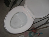 Natural Way To Clean Your Toilet