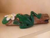 Frog On A Log