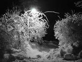 Midnight Snowfall