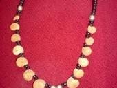 Sea Shell Necklace
