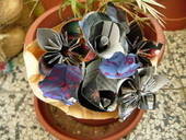 Paper Flowers Bouquet