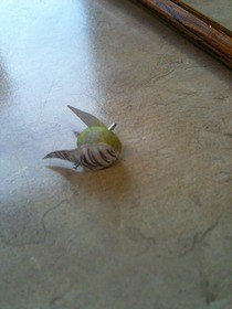 Golden Snitch From Office Supplies