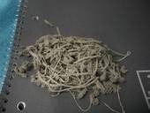 Shredded Eraser