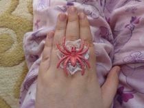 Pink Spider On A Lace Web Ring