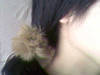 Small_full_nec_0010_1297663806