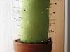 Small_full_grotefoto-bmciow8e_1217515171