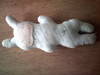 Small_full_dscf0103_1298135518
