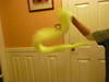 Small_full_p1010306_1298403321