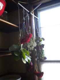 Dried Herb/Flower Rack  