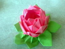 Lotus Flower / Spring Tutorial