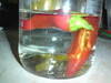 Chilli Vodka