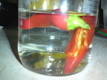 Chilli Vodka