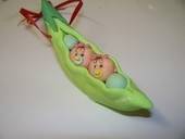 Two Peas In A Pod