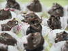 Small_full__dsc3708
