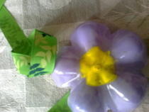 Plastic Bottle Courtain / The Video