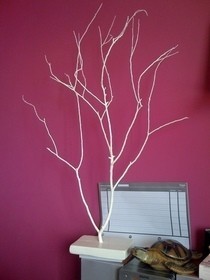 Jewelry Tree
