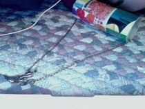 Travel Necklace Carrier