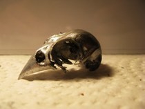 Bellatrix Lestrange Bird Skull Necklace Part I