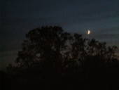In The Moontime