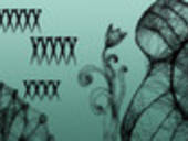 Banner / Signature Ideas On Photoshop By Me =)