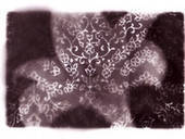 Tissue Paper Lily