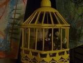 Bride Bird