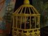 Small_full_009_1300314353