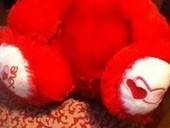 Headless Teddy Purse