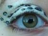 Small_full_4_1300808698